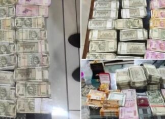 FCI ਘੁਟਾਲਾ : ਦਿੱਲੀ, ਪੰਜਾਬ, ਹਰਿਆਣਾ ਤੇ ਚੰਡੀਗੜ੍ਹ ਸਮੇਤ 50 ਤੋਂ ਵੱਧ ਥਾਵਾਂ ‘ਤੇ ਸੀਬੀਆਈ ਦੇ ਛਾਪੇ, ਹੁਣ ਤੱਕ 60 ਲੱਖ ਬਰਾਮਦ