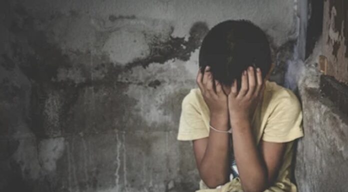 ਲੁਧਿਆਣਾ : ਪਤੰਗ ਦੇਣ ਬਹਾਨੇ ਮਾਸੂਮ ਨਾਲ ਨਾਬਾਲਗ ਨੇ ਕੀਤੀ ਬਦਫੈਲੀ