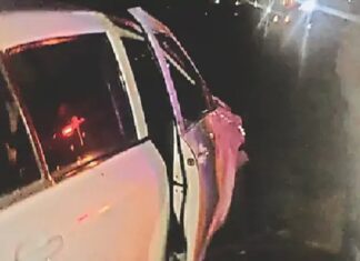 ਲੁਧਿਆਣਾ ‘ਚ ਨੈਸ਼ਨਲ ਹਾਈਵੇ ‘ਤੇ ਮਰੀ ਪਈ ਗਾਂ ਨਾਲ ਟਕਰਾਉਣ ਕਾਰਨ ਕਾਰ ਪਲਟੀ, ਚਾਲਕ ਦੀ ਮੌਤ