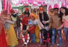 ਟੌਮੀ ਬਣਿਆ ਲਾੜਾ ਤੇ ਜੈਲੀ ਬਣੀ ਦੁਲਹਣ, ਲਏ 7 ਫੇਰੇ; ਜਾਨਵਰਾਂ ਦੇ ਵਿਆਹ ਦੀ ਪੜ੍ਹੋ ਅਜੀਬੋ-ਗਰੀਬ ਕਹਾਣੀ