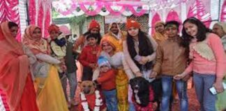 ਟੌਮੀ ਬਣਿਆ ਲਾੜਾ ਤੇ ਜੈਲੀ ਬਣੀ ਦੁਲਹਣ, ਲਏ 7 ਫੇਰੇ; ਜਾਨਵਰਾਂ ਦੇ ਵਿਆਹ ਦੀ ਪੜ੍ਹੋ ਅਜੀਬੋ-ਗਰੀਬ ਕਹਾਣੀ