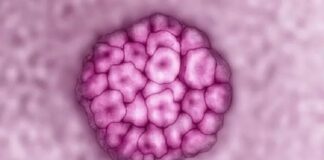 ਜਾਣਕਾਰੀ ਦੀ ਘਾਟ ! ਬੱਚੇਦਾਨੀ ਦੇ ਮੂੰਹ ਦੇ ਕੈਂਸਰ ਕਾਰਨ ਦੁਨੀਆ ‘ਚ ਹਰ 2 ਮਿੰਟ ‘ਚ ਹੁੰਦੀ ਹੈ ਇਕ ਔਰਤ ਦੀ ਮੌਤ