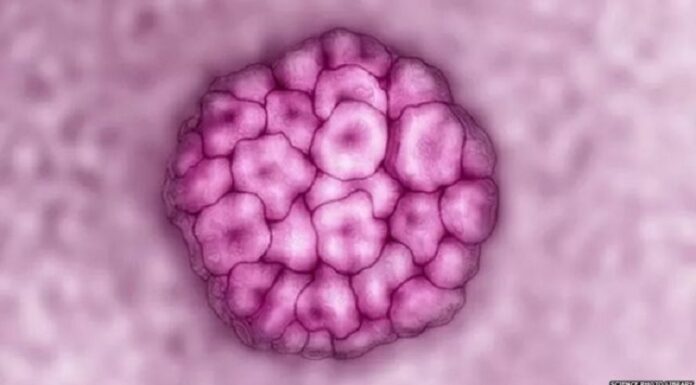 ਜਾਣਕਾਰੀ ਦੀ ਘਾਟ ! ਬੱਚੇਦਾਨੀ ਦੇ ਮੂੰਹ ਦੇ ਕੈਂਸਰ ਕਾਰਨ ਦੁਨੀਆ ‘ਚ ਹਰ 2 ਮਿੰਟ ‘ਚ ਹੁੰਦੀ ਹੈ ਇਕ ਔਰਤ ਦੀ ਮੌਤ