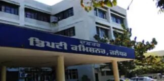 ਜਲੰਧਰ ਦੇ ਡੀਸੀ ਦਫਤਰ ‘ਚ ਅੱਜ ਨਹੀਂ ਹੋਵੇਗਾ ਕੰਮ, ਵਿਜੀਲੈਂਸ ਖਿਲਾਫ ਸਾਰਾ ਸਟਾਫ ਹੜਤਾਲ ‘ਤੇ