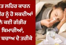 ਸੀਤ ਲਹਿਰ ਕਾਰਨ ਸਰੀਰ ਨੂੰ ਹੋ ਸਕਦੀਆਂ ਨੇ ਕਈ ਗੰਭੀਰ ਬਿਮਾਰੀਆਂ, ਪੜ੍ਹੋ ਬਚਾਅ ਦੇ ਤਰੀਕੇ