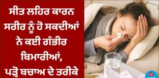 ਸੀਤ ਲਹਿਰ ਕਾਰਨ ਸਰੀਰ ਨੂੰ ਹੋ ਸਕਦੀਆਂ ਨੇ ਕਈ ਗੰਭੀਰ ਬਿਮਾਰੀਆਂ, ਪੜ੍ਹੋ ਬਚਾਅ ਦੇ ਤਰੀਕੇ