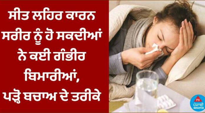 ਸੀਤ ਲਹਿਰ ਕਾਰਨ ਸਰੀਰ ਨੂੰ ਹੋ ਸਕਦੀਆਂ ਨੇ ਕਈ ਗੰਭੀਰ ਬਿਮਾਰੀਆਂ, ਪੜ੍ਹੋ ਬਚਾਅ ਦੇ ਤਰੀਕੇ