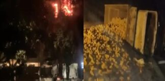 ਦਰਦਨਾਕ ਹਾਦਸੇ ! ਦਿੱਲੀ ‘ਚ ਬਿਰਧ ਆਸ਼ਰਮ ‘ਚ ਅੱਗ ਲਗਣ ਕਾਰਨ 2 ਬਜ਼ੁਰਗਾਂ ਦੀ ਮੌਤ, ਹਨੂੰਮਾਨਗੜ੍ਹ ‘ਚ ਸੜਕ ਹਾਦਸੇ ‘ਚ 5 ਲੋਕਾਂ ਦੀ ਮੌਤ