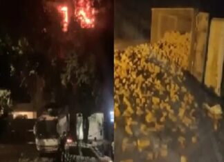 ਦਰਦਨਾਕ ਹਾਦਸੇ ! ਦਿੱਲੀ ‘ਚ ਬਿਰਧ ਆਸ਼ਰਮ ‘ਚ ਅੱਗ ਲਗਣ ਕਾਰਨ 2 ਬਜ਼ੁਰਗਾਂ ਦੀ ਮੌਤ, ਹਨੂੰਮਾਨਗੜ੍ਹ ‘ਚ ਸੜਕ ਹਾਦਸੇ ‘ਚ 5 ਲੋਕਾਂ ਦੀ ਮੌਤ