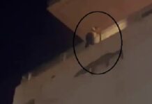 ਪਿਆਰ ‘ਚ ਧੋਖਾ ਮਿਲਣ ਕਾਰਨ ਲੜਕੀ ਨੇ ਮਾਲ ਤੋਂ ਛਾਲ ਮਾਰ ਕੇ ਜਾਨ ਦੇਣ ਦੀ ਕੀਤੀ ਕੋਸ਼ਿਸ਼