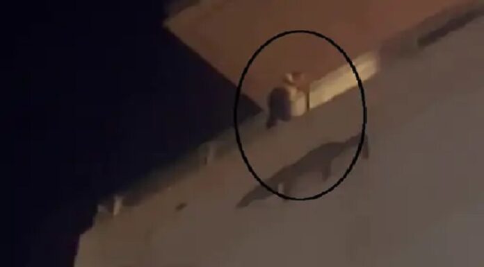 ਪਿਆਰ ‘ਚ ਧੋਖਾ ਮਿਲਣ ਕਾਰਨ ਲੜਕੀ ਨੇ ਮਾਲ ਤੋਂ ਛਾਲ ਮਾਰ ਕੇ ਜਾਨ ਦੇਣ ਦੀ ਕੀਤੀ ਕੋਸ਼ਿਸ਼