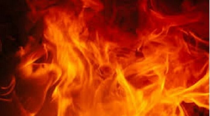 ਲੁਧਿਆਣਾ : ਸ਼ੋਅਰੂਮ ਨੂੰ ਲੱਗੀ ਭਿਆਨਕ ਅੱਗ, 50 ਇਲੈਕਟ੍ਰਾਨਿਕ ਸਕੂਟਰ ਸੜ ਕੇ ਸੁਆਹ