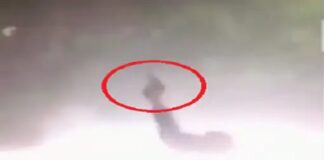 ਲੁਧਿਆਣਾ ‘ਚ ਸੜਕ ‘ਤੇ ਫਾਇਰਿੰਗ ਦਾ ਵੀਡੀਓ ਵਾਇਰਲ : ਇੰਸਟਗ੍ਰਾਮ ‘ਤੇ ਲਿਖਿਆ, ਗੈਂਗਵਾਰ ਦਾ ਟਾਈਮ ਦਿੱਤਾ ਸੀ, ਦੂਜਾ ਗਰੁੱਪ ਆਇਆ ਨਹੀਂ