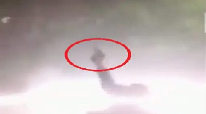 ਲੁਧਿਆਣਾ ‘ਚ ਸੜਕ ‘ਤੇ ਫਾਇਰਿੰਗ ਦਾ ਵੀਡੀਓ ਵਾਇਰਲ : ਇੰਸਟਗ੍ਰਾਮ ‘ਤੇ ਲਿਖਿਆ, ਗੈਂਗਵਾਰ ਦਾ ਟਾਈਮ ਦਿੱਤਾ ਸੀ, ਦੂਜਾ ਗਰੁੱਪ ਆਇਆ ਨਹੀਂ