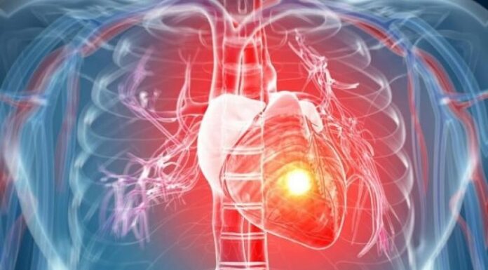 ਕਾਨਪੁਰ ‘ਚ ਜਾਨਲੇਵਾ ਠੰਢ : 1 ਹਫ਼ਤੇ ’ਚ ਦਿਲ ਤੇ ਦਿਮਾਗ ਦਾ ਦੌਰਾ ਪੈਣ ਕਾਰਨ 98 ਦੀ ਮੌਤ