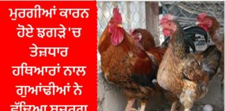 ਅੰਮ੍ਰਿਤਸਰ : ਮੁਰਗੀਆਂ ਕਾਰਨ ਹੋਏ ਝਗੜੇ ‘ਚ ਤੇਜ਼ਧਾਰ ਹਥਿਆਰਾਂ ਨਾਲ ਗੁਆਂਢੀਆਂ ਨੇ ਵੱਢਿਆ ਬਜ਼ੁਰਗ, ਮੌਤ