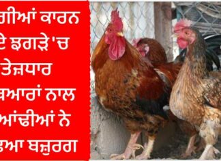 ਅੰਮ੍ਰਿਤਸਰ : ਮੁਰਗੀਆਂ ਕਾਰਨ ਹੋਏ ਝਗੜੇ ‘ਚ ਤੇਜ਼ਧਾਰ ਹਥਿਆਰਾਂ ਨਾਲ ਗੁਆਂਢੀਆਂ ਨੇ ਵੱਢਿਆ ਬਜ਼ੁਰਗ, ਮੌਤ