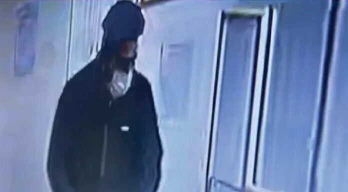 ਜਲੰਧਰ ਦੇ ਕੋਟਕ ਮਹਿੰਦਰਾ ਬੈਂਕ ‘ਚ ਫਿਲਮੀ ਸਟਾਈਲ ‘ਚ ਡਕੈਤੀ, ਹਥਿਆਰਾਂ ਦੀ ਨੋਕ ‘ਤੇ ਲੁੱਟੇ 9 ਲੱਖ