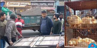 ਨਗਰ ਕੌਂਸਲ ਨੇ ਨਾਜਾਇਜ਼ ਕਬਜ਼ੇ ਕੀਤੀ ਜਗ੍ਹਾ ਤੋਂ ਸਾਮਾਨ ਚੁੱਕਣ ਤੋਂ ਇਲਾਵਾ ਮੁਰਗੇ ਵੀ ਕਰ ਲਏ ਜ਼ਬਤ