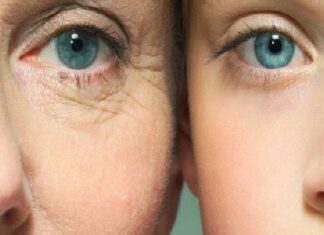 ਵਿਗਿਆਨੀਆਂ ਨੇ ਕੀਤੀ ਨਵੀਂ ਖੋਜ, ਬੁੱਢੇ ਫਿਰ ਹੋਣਗੇ ਜਵਾਨ