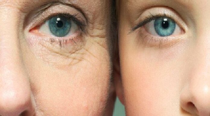 ਵਿਗਿਆਨੀਆਂ ਨੇ ਕੀਤੀ ਨਵੀਂ ਖੋਜ, ਬੁੱਢੇ ਫਿਰ ਹੋਣਗੇ ਜਵਾਨ