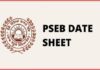 PSEB ਨੇ ਬੋਰਡ ਦੀਆਂ ਕਲਾਸਾਂ ਦੀ ਡੇਟ ਸ਼ੀਟ ਬਦਲੀ, ਜਾਣੋ ਕਦੋਂ ਹੋਣਗੇ ਪੇਪਰ