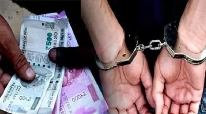 ਜਾਅਲੀ ਇੰਤਕਾਲ ਕਰਨ ਤੇ 15 ਹਜ਼ਾਰ ਰਿਸ਼ਵਤ ਲੈਣ ਦੇ ਦੋਸ਼ ‘ਚ ਪਟਵਾਰੀ ਗ੍ਰਿਫਤਾਰ