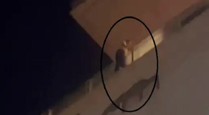 ਅੰਮ੍ਰਿਤਸਰ ‘ਚ ਜਿਸਦੇ ਲਈ ਪੰਜਵੀਂ ਮੰਜ਼ਿਲ ‘ਤੇ ਖੁਦਕੁਸ਼ੀ ਲਈ ਚੜ੍ਹੀ ਸੀ ਲੜਕੀ, ਦੇ ਹੇਠਾਂ ਉਤਰਦੇ ਹੀ ਲੜਕਾ ਵਿਆਹ ਤੋਂ ਮੁੱਕਰਿਆ