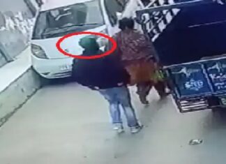 ਲੁਧਿਆਣਾ ‘ਚ ਸਨੈਚਰ ਗਿਰੋਹ ਸਰਗਰਮ, ਸਬਜ਼ੀ ਖਰੀਦ ਕੇ ਘਰ ਜਾ ਰਹੀ ਔਰਤ ਦੀਆਂ ਝਪਟੀਆਂ ਵਾਲੀਆਂ