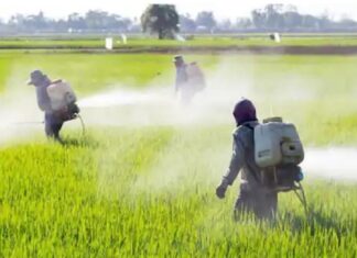 ਖੇਤੀ ਮੰਤਰਾਲੇ ਦੀ ਰਿਪੋਰਟ : ਫਸਲਾਂ ਦਾ ਵੱਧ ਝਾੜ ਲੈਣ ਲਈ ਖਾਦਾਂ ਦੀ ਅੰਨ੍ਹੇਵਾਹ ਵਰਤੋਂ ਕਰਨ ਦੇ ਮਾਮਲੇ ‘ਚ ਪੰਜਾਬ ਪਹਿਲੇ ਨੰਬਰ ‘ਤੇ