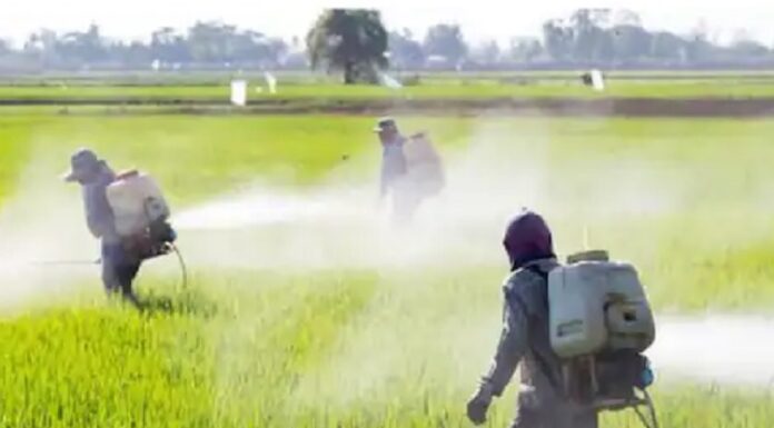 ਖੇਤੀ ਮੰਤਰਾਲੇ ਦੀ ਰਿਪੋਰਟ : ਫਸਲਾਂ ਦਾ ਵੱਧ ਝਾੜ ਲੈਣ ਲਈ ਖਾਦਾਂ ਦੀ ਅੰਨ੍ਹੇਵਾਹ ਵਰਤੋਂ ਕਰਨ ਦੇ ਮਾਮਲੇ ‘ਚ ਪੰਜਾਬ ਪਹਿਲੇ ਨੰਬਰ ‘ਤੇ