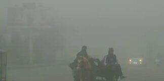 ਪੰਜਾਬ ਦੇ 7 ਜ਼ਿਲਿਆਂ ‘ਚ 2 ਦਿਨ ਪਵੇਗੀ ਸੰਘਣੀ ਧੁੰਦ, ਮੌਸਮ ਵਿਭਾਗ ਨੇ ਅਲਰਟ ਕੀਤਾ ਜਾਰੀ