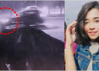 ਬੇਸਹਾਰਾ ਕੁੱਤਿਆਂ ਨੂੰ ਖਾਣਾ ਖੁਆ ਰਹੀ ਲੜਕੀ ਨੂੰ ਥਾਰ ਨੇ ਮਾਰੀ ਟੱਕਰ, ਹਾਲਤ ਗੰਭੀਰ