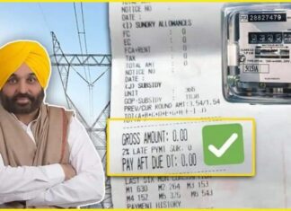 ਸੂਬੇ ਦੇ 90 ਫੀਸਦੀ ਪਰਿਵਾਰਾਂ ਦਾ ਬਿਜਲੀ ਬਿੱਲ ਆ ਰਿਹਾ ਜ਼ੀਰੋ, ਪੰਜਾਬ ਸਰਕਾਰ ਦਾ ਦਾਅਵਾ- ਜਨਵਰੀ ‘ਚ ਵਧੇਗਾ ਹੋਰ ਅੰਕੜਾ