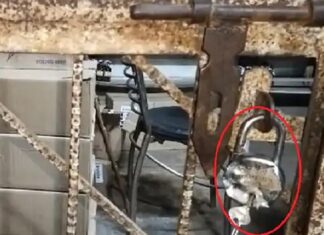 ਲੁਧਿਆਣਾ : ਬੁਲੇਟ ‘ਤੇ ਆਏ ਬਦਮਾਸ਼ਾਂ ਨੇ ਹਥਿਆਰਾਂ ਦੀ ਨੋਕ ‘ਤੇ ਸ਼ਰਾਬ ਦੇ ਠੇਕੇ ਤੋਂ ਲੁੱਟੇ 35 ਹਜ਼ਾਰ