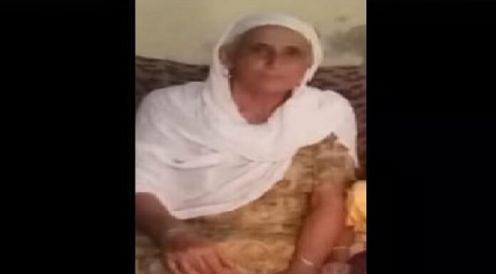 ਮਾਨਸਿਕ ਤੌਰ ‘ਤੇ ਪ੍ਰੇਸ਼ਾਨ ਪੁੱਤ ਨੇ ਮਾਂ ਨੂੰ ਕਹੀਆਂ ਮਾਰ ਕੇ ਉਤਾਰਿਆ ਮੌਤ ਦੇ ਘਾਟ 