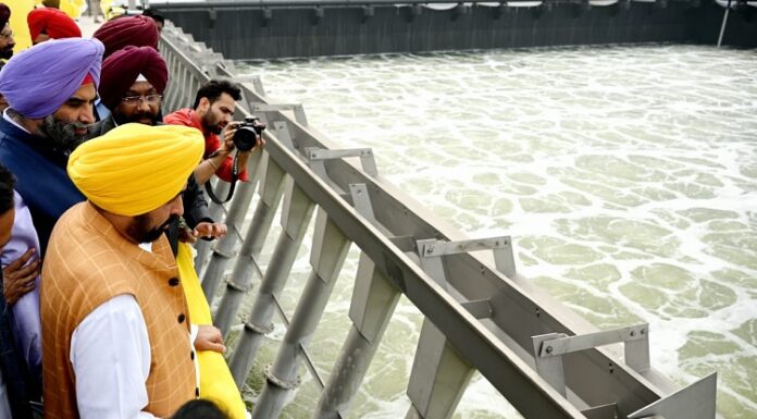 ਲੁਧਿਆਣਾ ਵਾਸੀਆਂ ਨੂੰ ਗੰਦੇ ਪਾਣੀ ਤੇ ਗੰਭੀਰ ਬੀਮਾਰੀਆਂ ਤੋਂ ਮਿਲੇਗੀ ਨਿਜਾਤ, ਬੁੱਢੇ ਨਾਲੇ ਦੀ ਸਫਾਈ ਲਈ CM ਮਾਨ ਨੇ ਲਿਆਂਦਾ ਪ੍ਰਾਜੈਕਟ