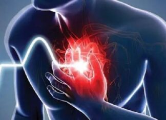 ਚੱਲਦੀ ਬੱਸ ਦੇ ਡਰਾਈਵਰ ਨੂੰ ਪਿਆ ਦਿਲ ਦਾ ਦੌਰਾ, ਬੇਕਾਬੂ ਕਾਲਜ ਬੱਸ ਕਾਰ ‘ਚ ਵੱਜੀ