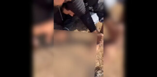 ਮੋਹਾਲੀ ‘ਚ 3 ਵਿਅਕਤੀਆਂ ਨੇ ਨੌਜਵਾਨ ਦੀਆਂ ਉਂਗਲਾਂ ਵੱਢੀਆਂ, ਚੀਕਦਾ ਰਿਹਾ ਮੁੰਡਾ ਵਿਅਕਤੀਆਂ ਨੂੰ ਨਹੀਂ ਆਇਆ ਤਰਸ, ਵੀਡੀਓ ਬਣਾ ਕੇ ਕੀਤੀ ਵਾਇਰਲ