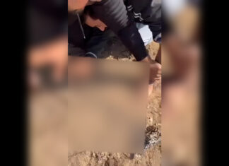 ਮੋਹਾਲੀ ‘ਚ 3 ਵਿਅਕਤੀਆਂ ਨੇ ਨੌਜਵਾਨ ਦੀਆਂ ਉਂਗਲਾਂ ਵੱਢੀਆਂ, ਚੀਕਦਾ ਰਿਹਾ ਮੁੰਡਾ ਵਿਅਕਤੀਆਂ ਨੂੰ ਨਹੀਂ ਆਇਆ ਤਰਸ, ਵੀਡੀਓ ਬਣਾ ਕੇ ਕੀਤੀ ਵਾਇਰਲ