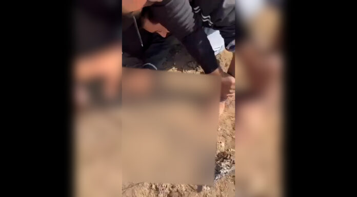 ਮੋਹਾਲੀ ‘ਚ 3 ਵਿਅਕਤੀਆਂ ਨੇ ਨੌਜਵਾਨ ਦੀਆਂ ਉਂਗਲਾਂ ਵੱਢੀਆਂ, ਚੀਕਦਾ ਰਿਹਾ ਮੁੰਡਾ ਵਿਅਕਤੀਆਂ ਨੂੰ ਨਹੀਂ ਆਇਆ ਤਰਸ, ਵੀਡੀਓ ਬਣਾ ਕੇ ਕੀਤੀ ਵਾਇਰਲ