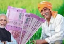 ਹੋਲੀ ਤੋਂ ਪਹਿਲਾਂ ਕੇਂਦਰ ਦਾ ਕਿਸਾਨਾਂ ਨੂੰ ਤੋਹਫਾ ! ਕੱਲ ਮਿਲੇਗੀ ਪ੍ਰਧਾਨ ਮੰਤਰੀ ਸਨਮਾਨ ਕਿਸਾਨ ਨਿਧੀ ਦੀ 13ਵੀਂ ਕਿਸ਼ਤ