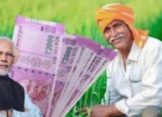 ਹੋਲੀ ਤੋਂ ਪਹਿਲਾਂ ਕੇਂਦਰ ਦਾ ਕਿਸਾਨਾਂ ਨੂੰ ਤੋਹਫਾ ! ਕੱਲ ਮਿਲੇਗੀ ਪ੍ਰਧਾਨ ਮੰਤਰੀ ਸਨਮਾਨ ਕਿਸਾਨ ਨਿਧੀ ਦੀ 13ਵੀਂ ਕਿਸ਼ਤ