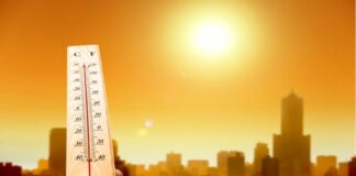 ਠੰਡ ਦੀ ਹੋਈ ਵਿਦਾਈ ! ਫਰਵਰੀ ‘ਚ ਅਪ੍ਰੈਲ ਵਾਂਗ ਦੀ ਗਰਮੀ ਆਈ, ਲੋਕਾਂ ਦੇ ਛੁੱਟੇ ਪਸੀਨੇ