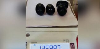 ਦੁਬਈ ਤੋਂ ਆ ਰਿਹਾ ਯਾਤਰੀ 53 ਲੱਖ ਦੇ ਗੋਲਡ ਸਮੇਤ ਕਾਬੂ, ਪੜ੍ਹੋ ਕਿਵੇਂ ਲੁਕੋਏ ਸਨ ਸਰੀਰ ‘ਚ ਕੈਪਸੂਲ