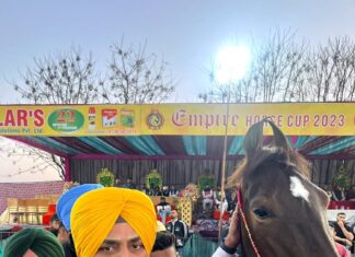 ਖੇਤੀ ਦੇ ਸਹਾਇਕ ਕਿੱਤੇ ਵਜੋਂ ਘੋੜਾ ਪਾਲਣ ਨੂੰ ਤਰਜੀਹ ਦੇਵੇਗੀ ਮਾਨ ਸਰਕਾਰ – ਮੰਤਰੀ ਭੁੱਲਰ