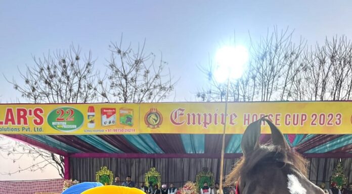 ਖੇਤੀ ਦੇ ਸਹਾਇਕ ਕਿੱਤੇ ਵਜੋਂ ਘੋੜਾ ਪਾਲਣ ਨੂੰ ਤਰਜੀਹ ਦੇਵੇਗੀ ਮਾਨ ਸਰਕਾਰ – ਮੰਤਰੀ ਭੁੱਲਰ