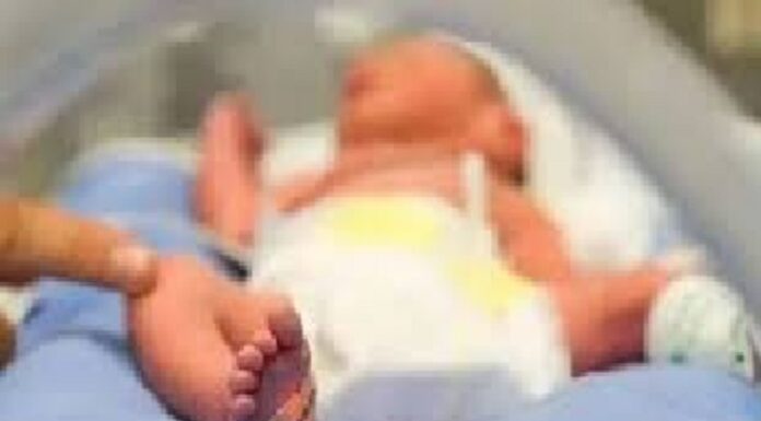 ਵੱਡੀ ਖਬਰ : ਫਤਿਹਗੜ੍ਹ ਸਾਹਿਬ ‘ਚ 14 ਸਾਲ ਦੀ ਲੜਕੀ ਨੇ ਦਿੱਤਾ ਬੱਚੇ ਨੂੰ ਜਨਮ, ਬਾਲ ਸੁਰੱਖਿਆ ਵਿਭਾਗ ਨੇ ਸ਼ੁਰੂ ਕੀਤੀ ਜਾਂਚ