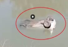 ਲੁਧਿਆਣਾ : ਤੇਜ਼ ਰਫਤਾਰ ਬੇਕਾਬੂ ਕਾਰ ਨਹਿਰ ‘ਚ ਡਿੱਗੀ, ਡੁੱਬ ਰਹੇ ਕਾਰ ਸਵਾਰਾਂ ਨੂੰ ਲੋਕਾਂ ਨੇ ਕੱਢਿਆ ਬਾਹਰ