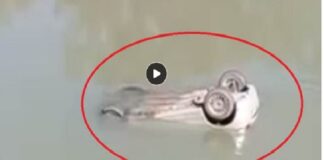 ਲੁਧਿਆਣਾ : ਤੇਜ਼ ਰਫਤਾਰ ਬੇਕਾਬੂ ਕਾਰ ਨਹਿਰ ‘ਚ ਡਿੱਗੀ, ਡੁੱਬ ਰਹੇ ਕਾਰ ਸਵਾਰਾਂ ਨੂੰ ਲੋਕਾਂ ਨੇ ਕੱਢਿਆ ਬਾਹਰ